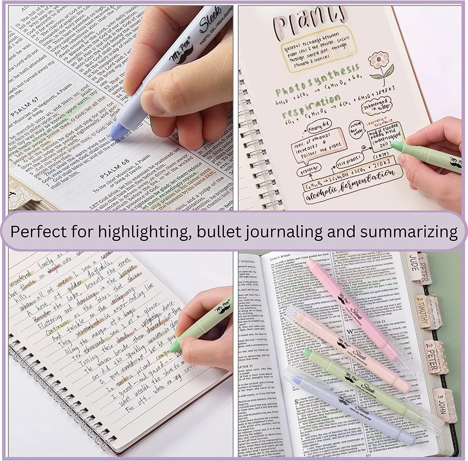 Which Bible Translation Should I Choose?