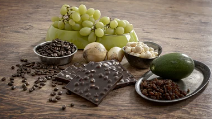 Foods to Be Aware of That are Unhealthy or Toxic for Dogs & Cats