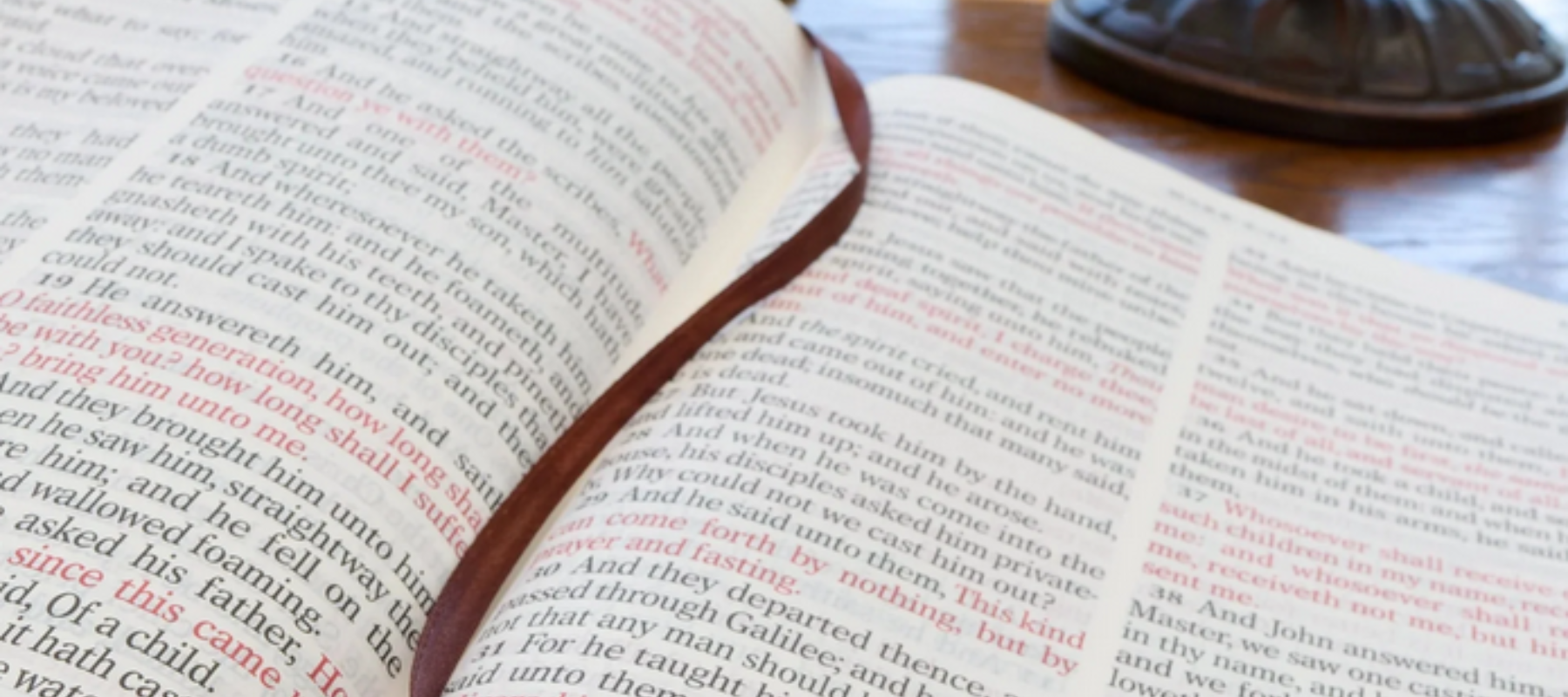 Variety of standard bibles and study Bibles