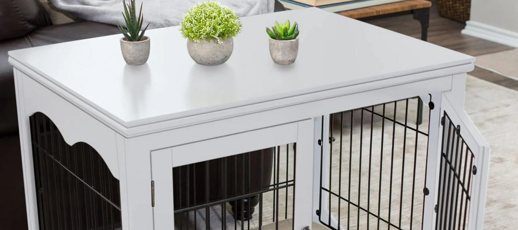 Kennels, and luxury crates - DogBox