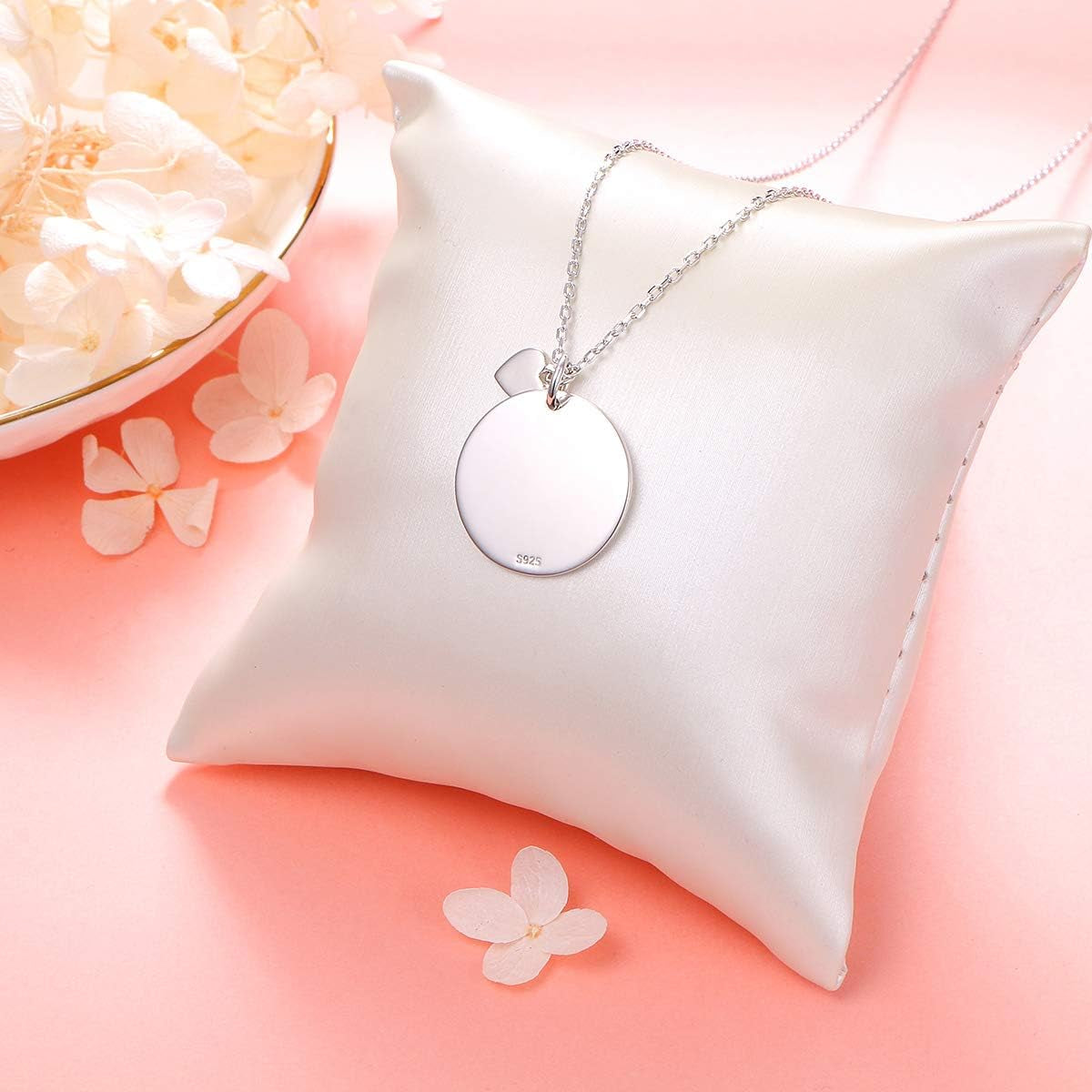 S925 Sterling Silver Inspirational Robin Motivational Bible Verse Pendant Necklace for Women Teen Braver Stronger Smarter Jewelry