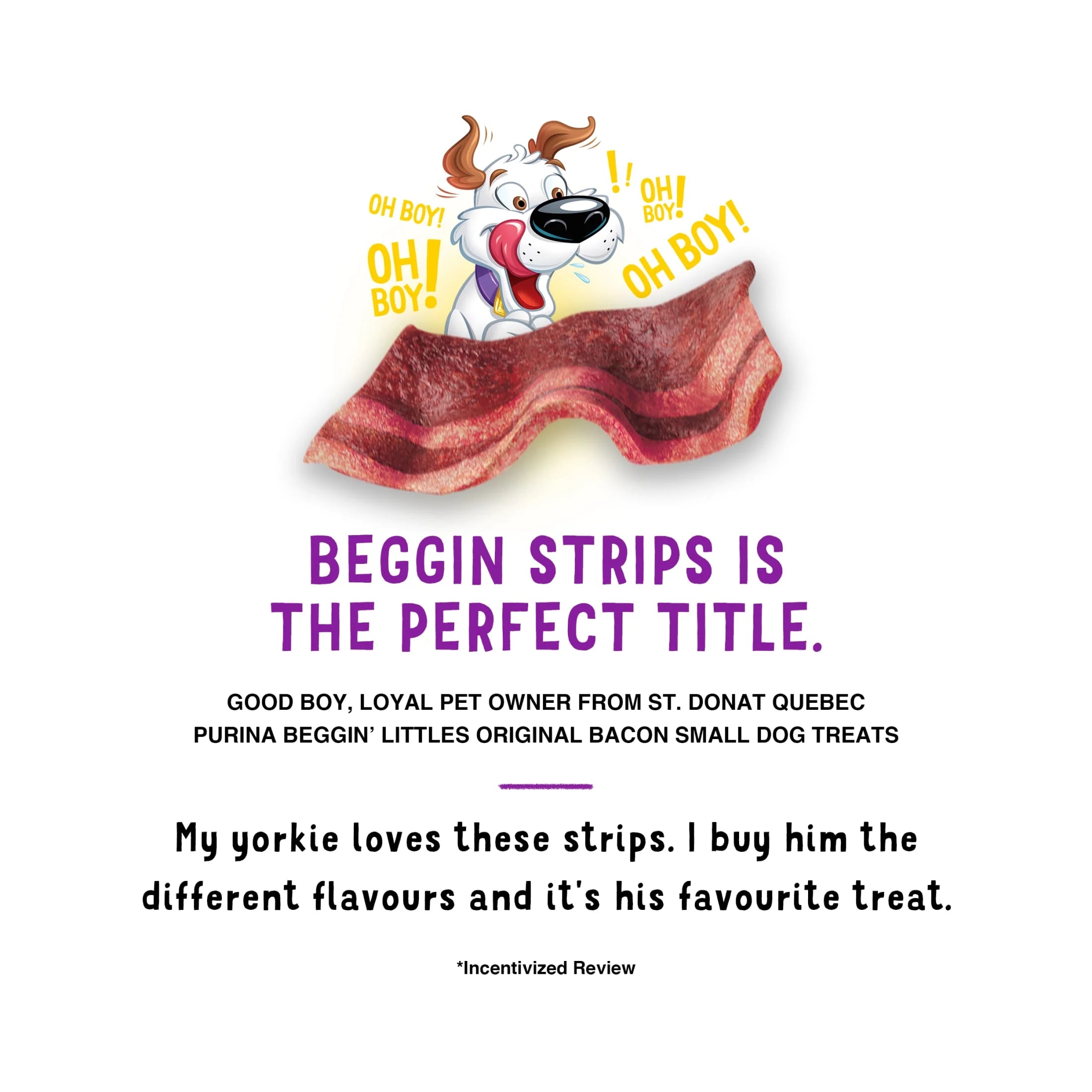 Purina  Strips Small Dog Treats Fun Size Original with Bacon Flavor Tender Chews, 6 Oz Pouch