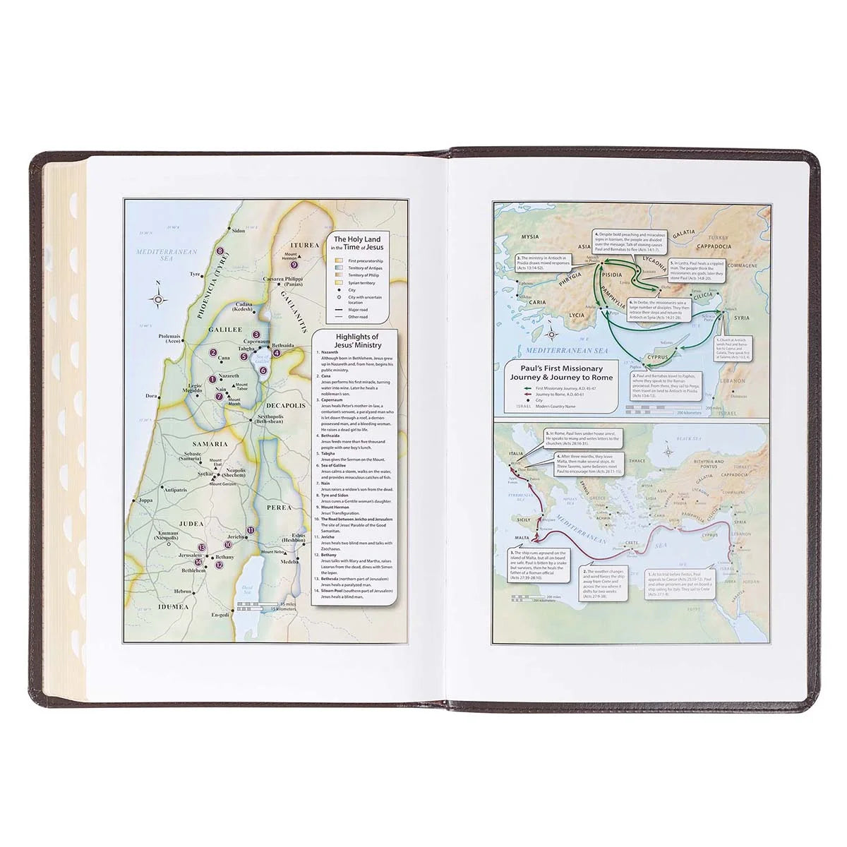 KJV Large Print Thumb Index Edition: Brown (Large Print) (Hardcover)