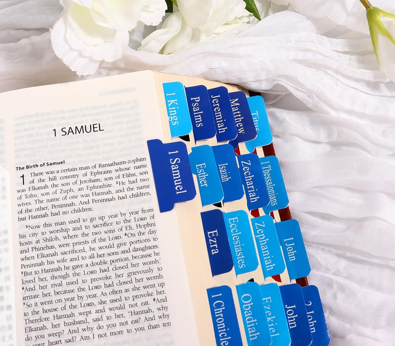 Blue Bible Tabs for Men'S Bible Studies & Small Groups, Large Print Tabs Fits NI