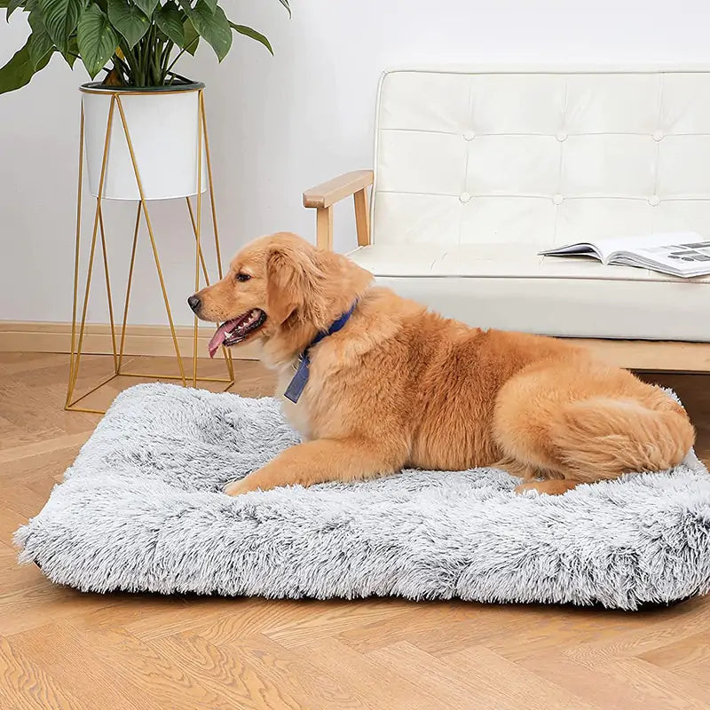 Plush Washable Dog Bed for Comfort