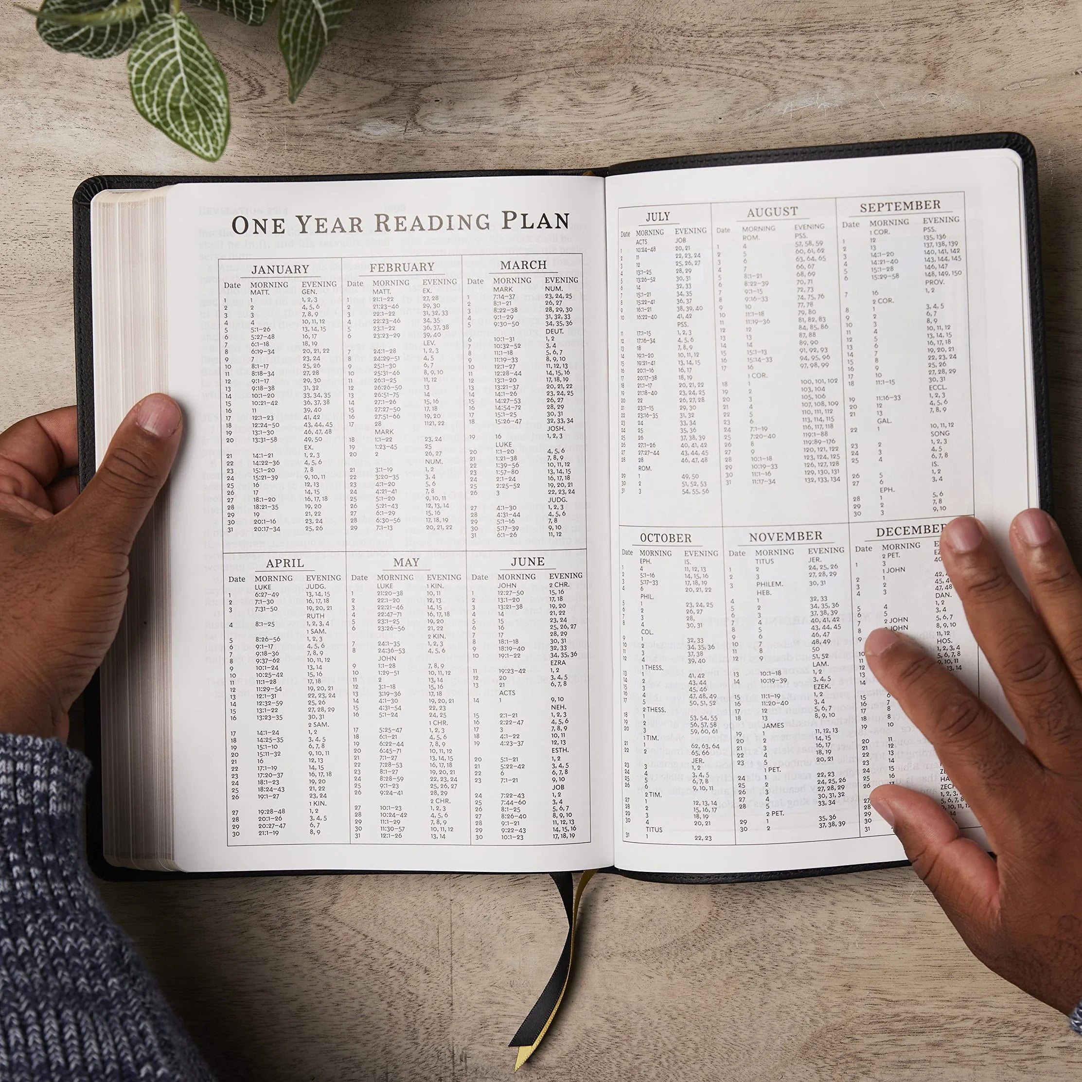 KJV Holy Bible: Giant Print Thinline Bible, Black Leathersoft, Red Letter, Comfort Print: King James Version (Vintage Se, (Hardcover)