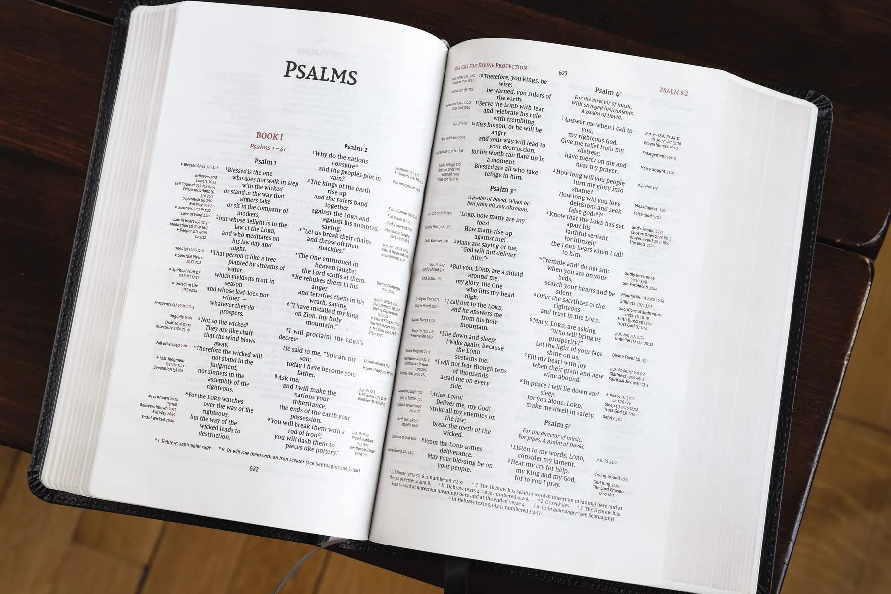 Niv, Thompson Chain-Reference Bible, Handy Size, European Bonded Leather, Black, Red Letter, Comfort Print, (Hardcover)