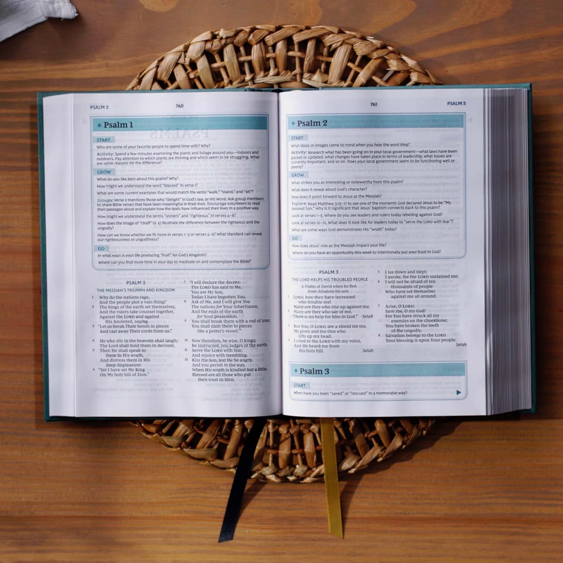 Nkjv, the Bible Study Bible, Leathersoft, Brown, Comfort Print: a Study Guide for Every Chapter of the Bible, (Hardcover)